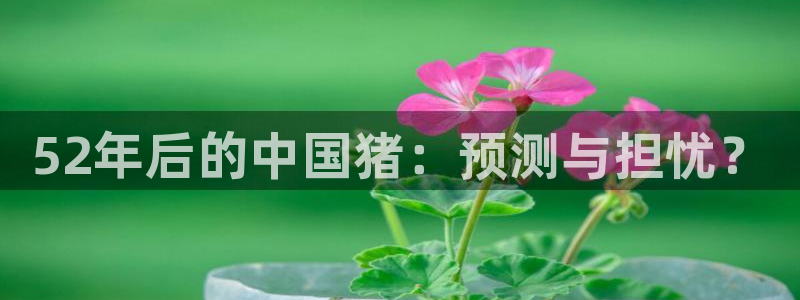 伟德app官网下载