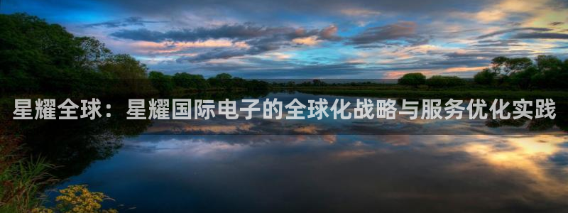 伟德国际公司