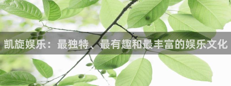 伟德国际公司