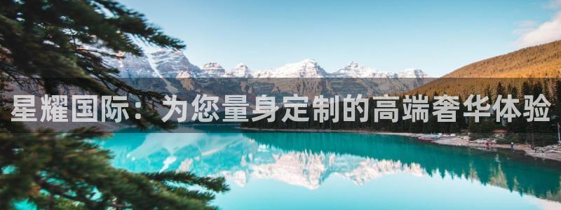 伟德国际企业有限公司