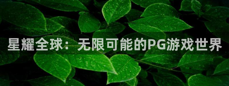伟德国际mobi