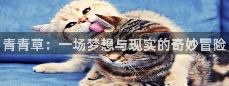 伟德国际官网_伟德国际平台