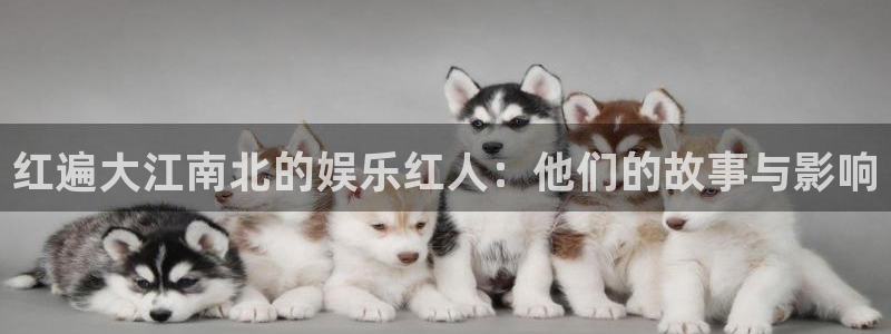 伟德app下载安卓版