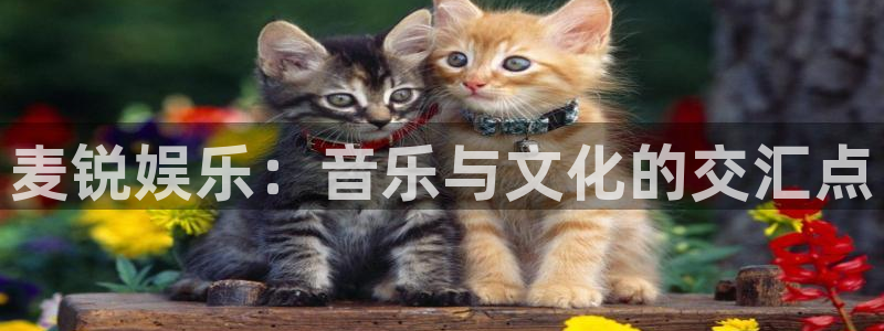 伟德国际app