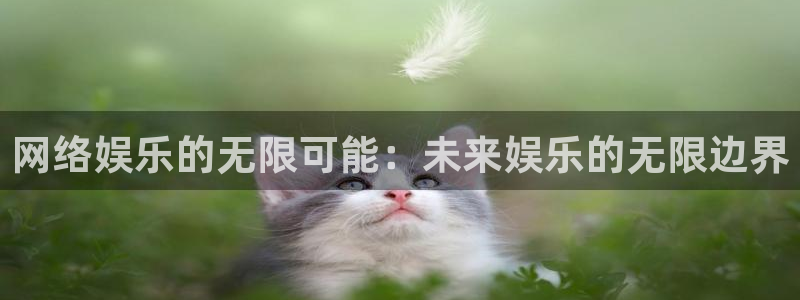 伟德app