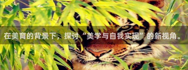 伟德国际