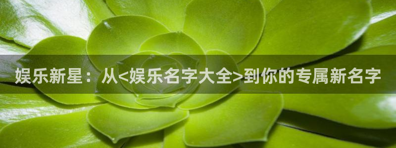 伟德国际手机app下载