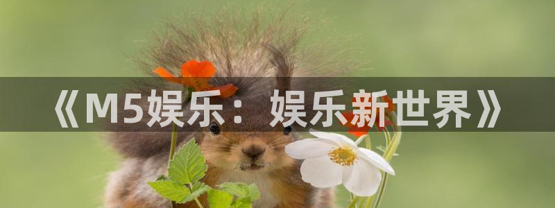 伟德国际app苹果版下载
