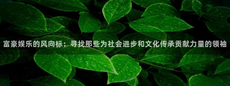 伟德国际betvlctor1946：富豪娱乐的风向标：寻找那些为社会进步和文化传承贡献力量的领袖