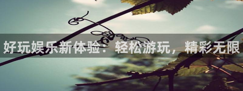 伟德app安卓版下载：好玩娱乐新体验：轻松游玩，精彩无限