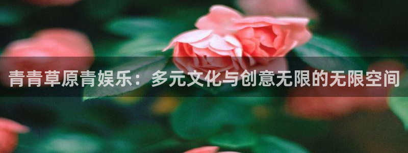 伟德国际：青青草原青娱乐：多元文化与创意无限的无限空间
