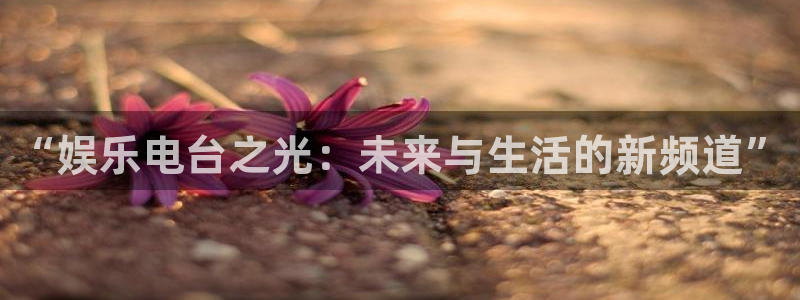 伟德国际公司：“娱乐电台之光：未来与生活的新频道”