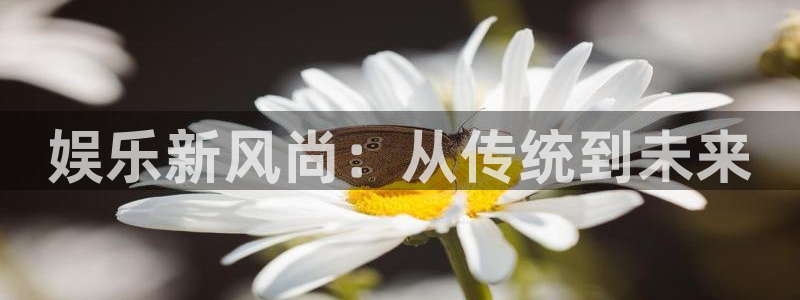 bevitor·伟德国际：娱乐新风尚：从传统到未来