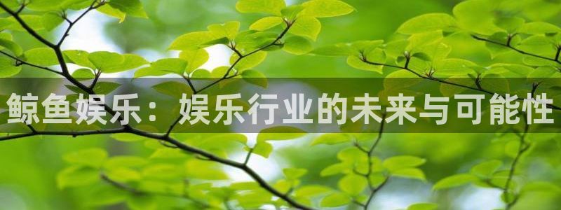 伟德国际官网：鲸鱼娱乐：娱乐行业的未来与可能性