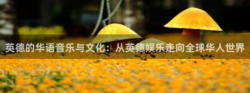 伟德国际mobi：英德的华语音乐与文化：从英德娱乐走向全球华人世界