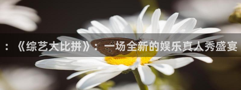 伟德国际app苹果版下载：：《综艺大比拼》：一场全新的娱乐真人秀盛宴