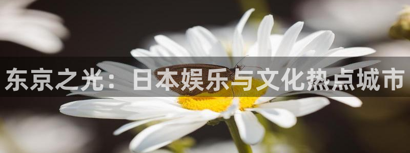 伟德国际app下载安装：东京之光：日本娱乐与文化热点城市
