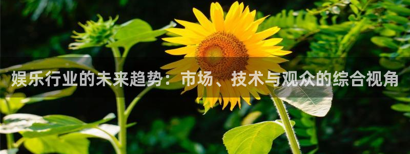 伟德app下载：娱乐行业的未来趋势：市场、技术与观众的综合视角