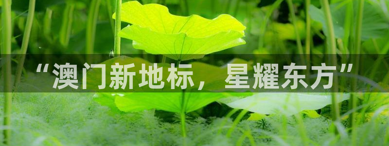 伟德app下载安卓版：“澳门新地标，星耀东方”
