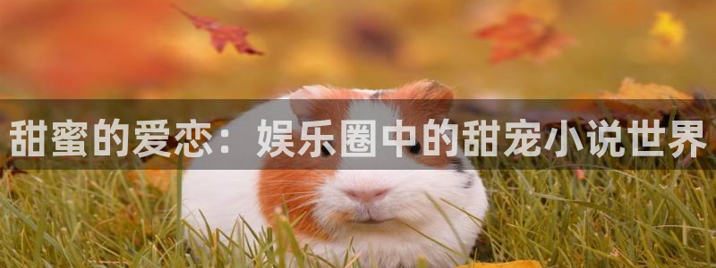伟德国际是什么意思：甜蜜的爱恋：娱乐圈中的甜宠小说世界