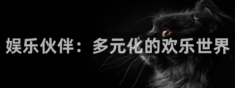 伟德国际企业有限公司：娱乐伙伴：多元化的欢乐世界