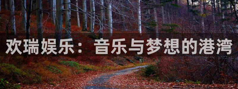 bevitor·伟德国际：欢瑞娱乐：音乐与梦想的港湾