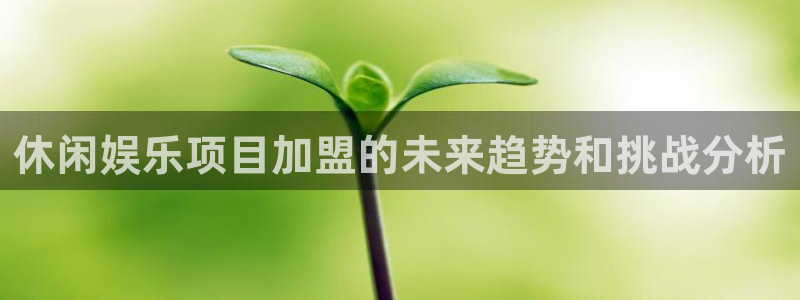 伟德app安卓版下载：休闲娱乐项目加盟的未来趋势和挑战分析