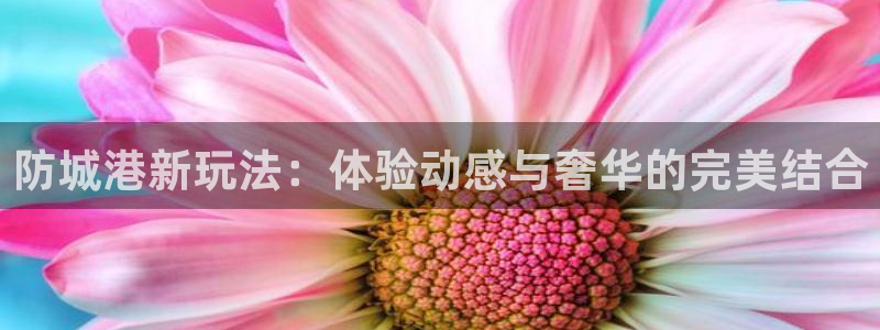 伟德app下载安卓版：防城港新玩法：体验动感与奢华的完美结合