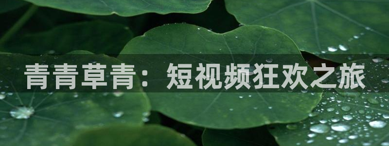 伟德国际公司：青青草青：短视频狂欢之旅