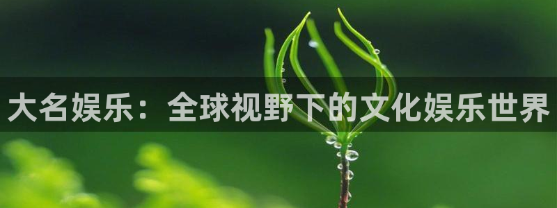 伟德国际app下载安装：大名娱乐：全球视野下的文化娱乐世界